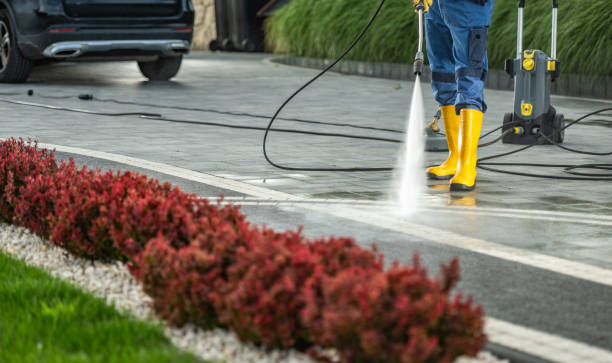 Best Gutter Cleaning and Brightening in Happy Valley, CA